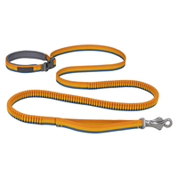 Sangle élastique en nylon et polyester haute ténacité, durable, de haute qualité, avec logo imprimé personnalisable Gacent, pour laisse de chien