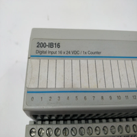 Modul Input Digital 200-IB16 16-Point 24VDC Ekspansi PLC Sumber/Penghantar 24VDC Ekspansi Sistem PLC Kontrol Industri Digital I/O