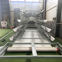 Cage à poules pondeuses de type 3/4 niveaux pour élevage avicole, équipée d'une ligne d'abreuvement automatique et d'un grattoir à fumier, avec cadre galvanisé à chaud