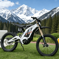 Livraison rapide Sur Ron Light Bee LBX, moto électrique tout-terrain puissante, batterie lithium longue portée, vélo électrique tout-terrain