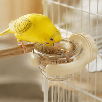 Distributeur automatique de nourriture pour animaux de compagnie, carré et circulaire, à gravité, pour oiseaux, hamsters, petits animaux