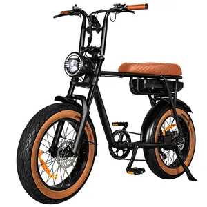 7go Eb4 Eb2 Europese/Us Magazijn Elektrische Fiets 48V 750W Off-Road 20 Inch Dikke Band Elektrische Fiets E-Bike