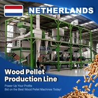 Solution de projet de granulés de bois RICHI - Usine automatisée 30-40 T/H Nouvelle ligne de production de granulés de biomasse aux Pays-Bas