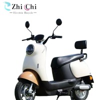 Nouveau design 2025 – Vélo électrique adulte haute qualité longue portée à batterie au plomb-acide, prix abordable