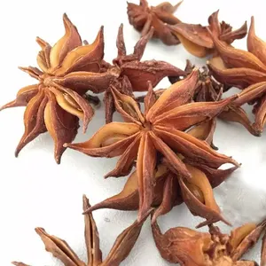 Wholesale Dried Star Anise Spice Chinese Star Anise