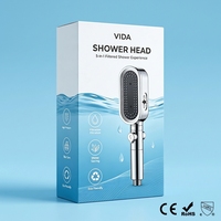 Pommeau de Douche ABS Moderne à Haute Pression, Économiseur d'Eau, Détachable, Réglable, avec Filtre Anti-Chlore et Jet Pluie