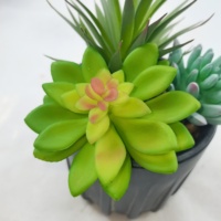 Vente en gros de 100 pièces de plantes succulentes artificielles en vrac-Mini plantes de faux cactus pour bricolage artisanat décoration de mariage pas cher