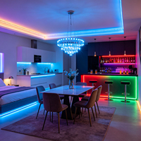Bande lumineuse LED intelligente RGB 5050 avec connectivité USB, matériau PCB, indice de protection IP65, 12V, 5mm/8mm/10mm, dimmable, contrôle par télécommande et application