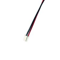 24 26 28 Gauge JST PH 2-Pin Female kawat konektor kabel 100mm untuk peralatan rumah tangga dan mesin