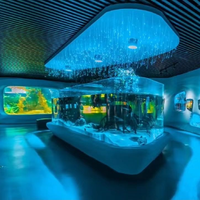 Aquarium décoratif transparent en acrylique grande taille, ensemble complet avec alimentation 100W pour salon ou bureau – Offre Spéciale