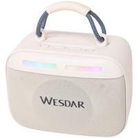 Enceinte de karaoké WESDAR avec micros sans fil - Bt 5.3, son 10w, lumières RVB, entrée TF/USB/AUX pour chanter à la maison et en extérieur