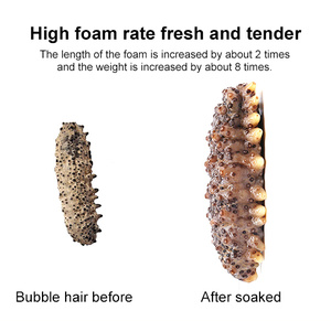 Cao Cấp Bán Buôn Nam Mỹ Khô Biển Dưa Chuột - Product Image 2