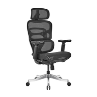 Chaise de bureau ergonomique en maille nylon 4D avec support lombaire à 6 rails et accoudoirs 5D en PU pour espaces de travail modernes et salons