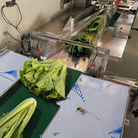 Automatische voedings- en verpakkingsmachine voor snoep, chocolade repen, kussenverpakkingen, harde snoepjes en lolly's.