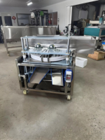 Hoge Capaciteit Commerciële Automatische Pruimen Kersen Olijven Medjool Dadelpittenmachine 220V 1.5kW Schiller Fruitextractor