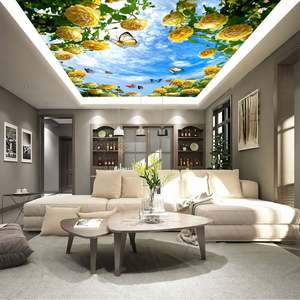 Película <span class=keywords><strong>de</strong></span> Techo <span class=keywords><strong>de</strong></span> PVC Flexible, Paneles <span class=keywords><strong>de</strong></span> Revestimiento Ignífugos, Techos Artísticos Falsos - Product Image 6