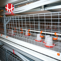 Cage à poulets de chair automatique de type H à 3 niveaux en acier galvanisé avec plancher à lattes en plastique, courroie de fumier et abreuvoir à tétine pour poulailler