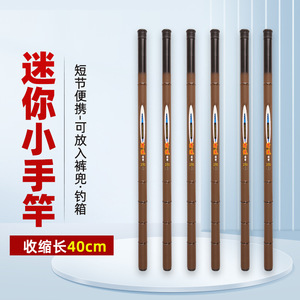 Mini canne à pêche ultra courte de 40 cm, rétractable, compacte, pour la pêche en rivière, pêche en eau douce - Product Image 1