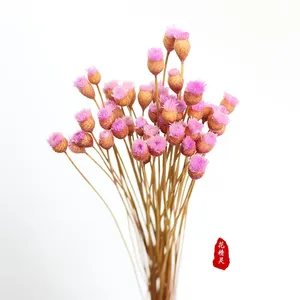 Branches brésiliennes, fleurs séchées, petites fleurs sauvages, arrangements floraux, décoration intérieure, fleurs séchées - Product Image 6