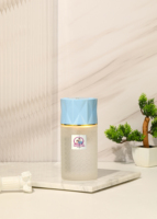 Diffuseur de parfum d'ambiance à bâtonnets, à évaporation naturelle, pour huiles essentielles, durable, portable, avec logo personnalisé, OEM