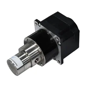 filling precision delivery DC 24V magnetic drive gear pump for fuel and oil delivery M1.50S72BL170W