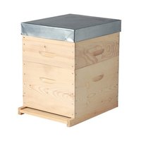 Günstiger Bienenstock Imkerei-Ausrüstung 10-Rahmen-Dadant-Bienenstock Polierter Bienenstock
