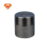 Prise ronde A105 20 #   Raccords de tuyauterie en acier au carbone forgé NPT femelle ASTM 16Mn