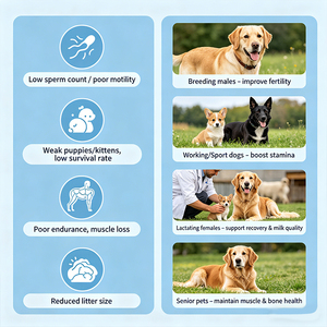 Amélioration de la fertilité des animaux de compagnie, reproduction canine, vitalité du sperme canin, supplément en poudre, OEM, soutien immunitaire pour la gestation des chiens et des chats - Product Image 4