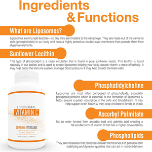 Capsules de vitamine C liposomale de marque privée OEM 60 suppléments de rappel du système immunitaire pour adultes femmes enceintes - Product Image 3