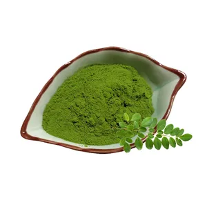 Ekstrak Daun Moringa Oleifera Organik Murni Alami 20:1 Bubuk Daun Moringa Malunggay