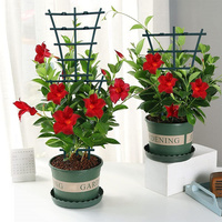 HY198 piquets de support de plantes de jardin en forme de feuille en métal treillis grimpant incliné pour plante