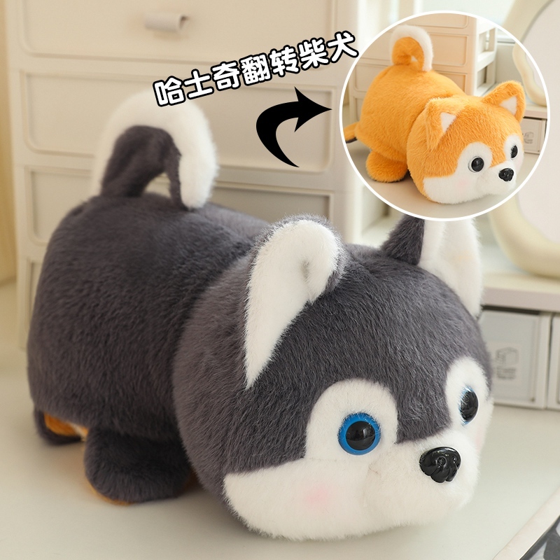 Husky+Volpe