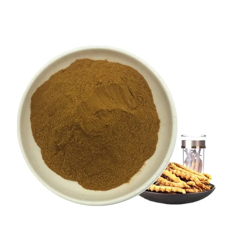 Suplemen Kesehatan Alami Massal Cordyceps Sinensis Ekstrak Polysaccharide 20% Bubuk