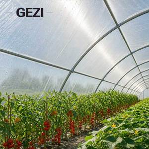 Serre tunnel commerciale <span class=keywords><strong>en</strong></span> plastique de style gothique pour la production de légumes, la culture de tomates et l'agriculture hydroponique - Product Image 5