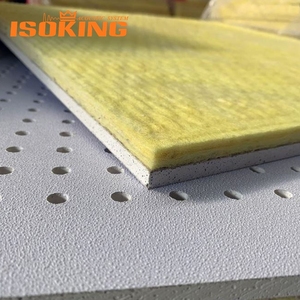 Pannello Acustico in Fibra di Vetro e Gesso Perforato ISOKING, Pannello per <span class=keywords><strong>Soffitto</strong></span> Acustico Perforato per Data Center - Product Image 2