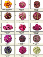 Fleurs séchées de chrysanthème de qualité export, herbes chinoises, fleurs épanouies, thé floral aux herbes, rose, pois papillon, fleur d'hibiscus
