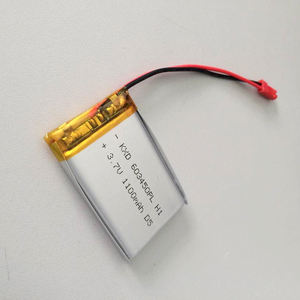 Перезаряжаемые литий-ионные аккумуляторы <span class=keywords><strong>3</strong></span>,7 в, 1000 мА/ч, 1100 мА/ч, литий-полимерный аккумулятор для GPS-отслеживания - Product Image 3