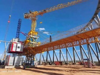 Pont de niveau pour la plate-forme de travail de tour de refroidissement et l'utilisation multifonctionnelle d'ascenseur de construction