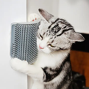 <span class=keywords><strong>Pas</strong></span> <span class=keywords><strong>cher</strong></span> Pet Cat Self Groomer Cat Corner Face Scratcher Wall Mount Pet Self Toilettage Nettoyage Brosse de Massage Peigne Avec Pochette Cataire - Product Image 4