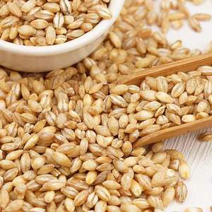 بذور الشعير المجففة لتغذية الحيوانات نوع من العشب المغذي - Product Image 5