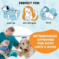 Collier gonflable anti-morsure et anti-léchage pour animaux de compagnie, collier souple pour chien, collier de récupération réglable pour le cou après une opération