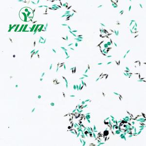 Cajas de Almacenamiento de Portaobjetos de Microscopio de Plástico Naranja para Estudiantes de Ciencias Médicas, Portaobjetos de Histología Médica Preparados en Laboratorio - Product Image 4