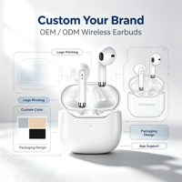 Earbud TWS OEM Exquisite Mini HE-080, Suara Stereo Hifi Nirkabel Sejati dengan Peredam Kebisingan, Cocok untuk Hadiah Bisnis