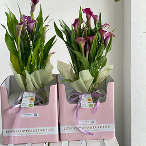 Caja de Regalo Hecha a Mano para Plantas en Maceta, Caja de Embalaje para Ramos de Floristería, Caja Plegable de Papel Kraft para Arreglos Florales - Product Image 1