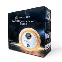 Compresseur d'air portable 12V intelligent avec affichage numérique et préréglages pour pneus, surveillance de la pression des pneus, pompe à air pour voiture en ABS