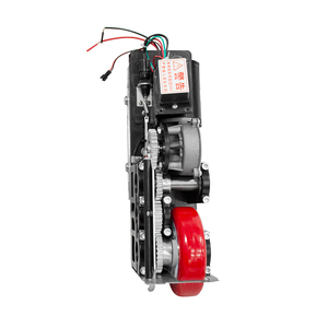 Moteur de <span class=keywords><strong>portail</strong></span> à roue OEM DC24V40W 400KG à corps étroit pour villas - Product Image 3