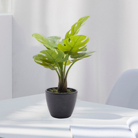 2025 nouveau produit plante artificielle en pot Monstera Aromatica bonsaï plantes pour bureau à domicile ornements de bureau