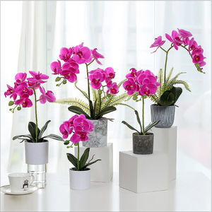 <span class=keywords><strong>Orchidée</strong></span> artificielle bonsaï, 1 pièce, tactile, avec pot, fleurs pour la décoration - Product Image 2