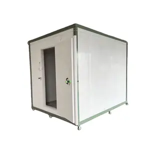 Conteneur mobile Offre Spéciale chambre froide réfrigérateur congélateur chambre froide pour la glace