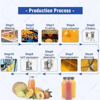 Chaîne de production complète de jus de fruits concentrés à petite échelle : Coût de la usine de fabrication de jus